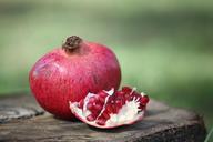 pomegranate-fruit-plant-1091226.jpg