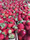 strawberries-farmers-market-fruit-1175555.jpg