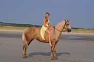 horse-quarter-horse-beach-bareback-934555.jpg