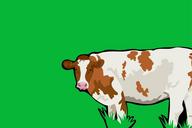 animal-nature-cartoon-farm-field-1207080.jpg