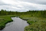 finland-forest-tundra-lapland-1261943.jpg