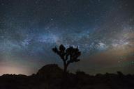 Milky_Way_Galaxy_of_Joshua_Tree.jpg