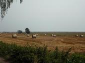 fields-hay-straw-bales-farm-field-65859.jpg