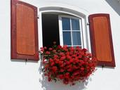 window-shutters-home-open-geranium-189564.jpg