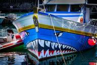 boat-shark-set-designer-blue-port-1616220.jpg