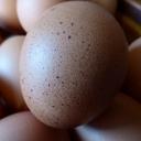 egg-hen-s-egg-food-nutrition-463944.jpg