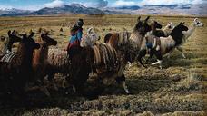 Meseta_del_Collao,_Puno,_Perú.jpg