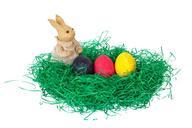 easter-hare-germany-color-622058.jpg