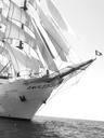 sailing-vessel-ship-boot-sail-1149441.jpg