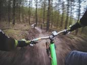 mountain-biking-cycling-1210066.jpg