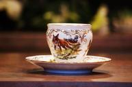 porcelain-cup-garnish-hand-drawing-1504144.jpg