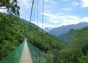 suspension-bridge-taiwan-jungle-615194.jpg