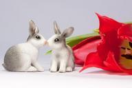 easter-bunny-kiss-spring-650092.jpg