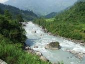 nepal-annapurna-trekking-forest-978323.jpg