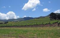 california-santa-ynez-valley-70053.jpg