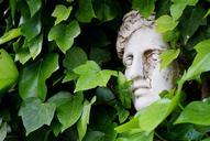 bust-ivy-tuscany-rest-garden-742664.jpg