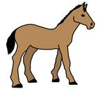 animal-cartoon-horse-pony-1293158.svg