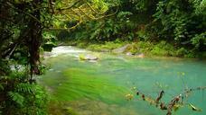 river-water-celeste-jungle-501475.jpg