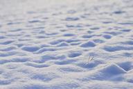 snow-cold-winter-winter-s-day-600083.jpg