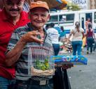 man-selling-parrots-maracaibo-876118.jpg