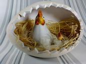 easter-nest-chicken-chicks-spring-633589.jpg