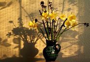 still-life-light-shadow-688276.jpg