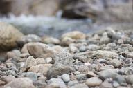 pebbles-stones-flints-river-bed-652217.jpg