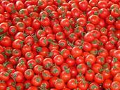 tomatoes-vegetables-red-delicious-73913.jpg