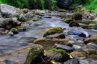 forest-mountain-torrent-river-869429.jpg