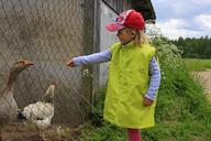 girl-geese-living-nature-joy-1448490.jpg