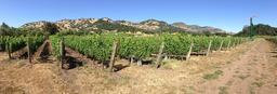 napa-valley-1279942_1920.jpg