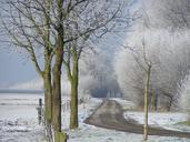 winter-ripe-landscape-freezing-1526963.jpg