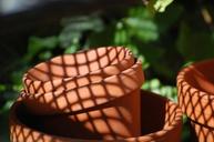 flowerpot-shadow-pattern-lines-1124806.jpg