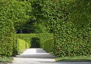 archway-hedges-green-leaves-rest-370677.jpg