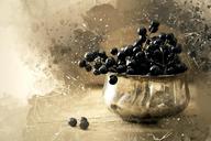 digital-painting-bowl-black-berries-1674928.jpg