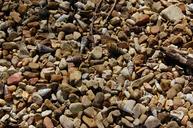 pebbles-shells-shore-beach-1583471.jpg