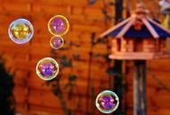 soap-bubbles-colorful-balls-1106867.jpg