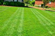 lawn-care-lawn-maintenance-643563.jpg