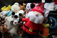 bean-bag-plush-zaba-toy-teddy-bear-318597.jpg