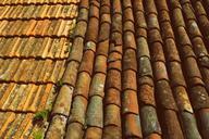 tiles-roof-slate-clay-terracotta-928718.jpg