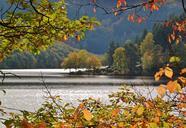 lake-waters-boat-house-beech-leaves-505168.jpg