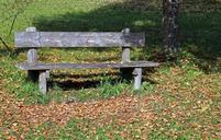 bench-wood-bank-seat-nature-out-484732.jpg