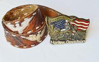 belts-harley-davidson-leather-brass-680776.jpg