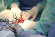 hospital-surgery-medical-health-721240.jpg