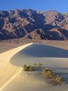 dunes-sand-landscapes-nature-386962.jpg