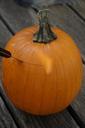 pumpkin-halloween-autumn-orange-1004932.jpg