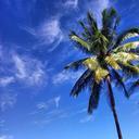 palm-island-tropical-sky-clouds-504712.jpg