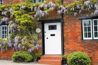 wisteria-house-red-brick-old-164104.jpg