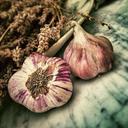 garlic-spice-ingredient-aromatic-139659.jpg