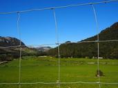 fence-wildzaun-wildlife-fence-mesh-1117730.jpg